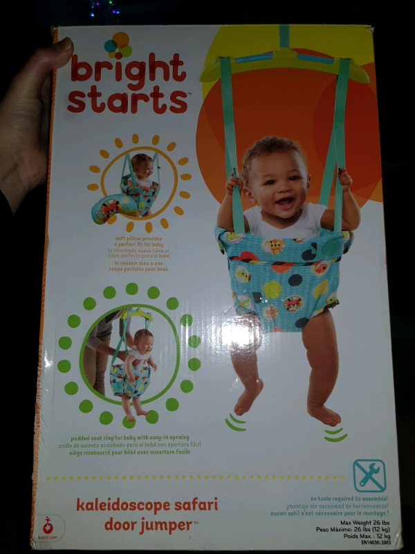 bright starts door bouncer pink